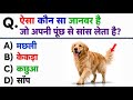 अपनी पूंछ से कोन सांस लेता है 🤔😱 GK in Hindi || GK Questions #gk #gkinhindi