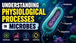 Understanding Physiological Processes in Microbes (7 Minutes)