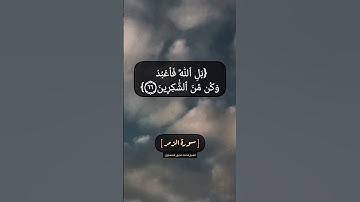 سورة الزمر الآية ٦٤ الى ٦٧ بصوت الشيخ محمد صديق المنشاوي