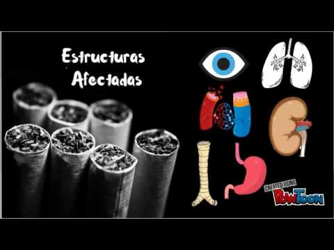 Vídeo: Tabaquismo Y Alcohol: Efectos En El Cuerpo