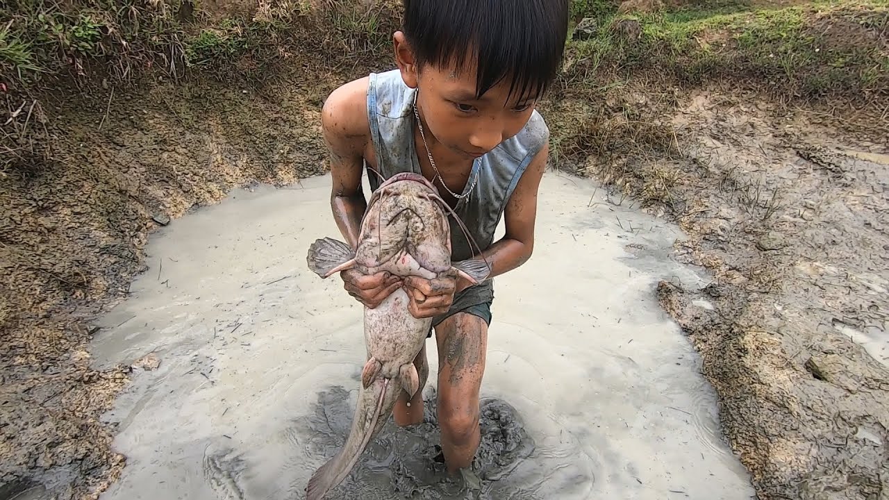Amazing Boy Catching Big Catfish In Mud Water - Hand Catching Catfish ...