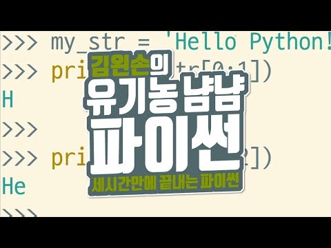 여러 개의 문자 가져오기 | 유기농냠냠파이썬 | 김왼손의 왼손코딩