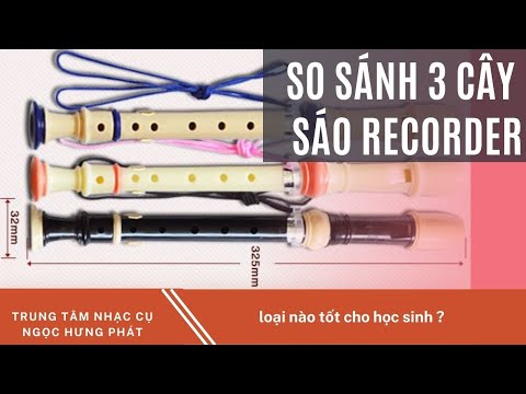 Video SO SÁNH CÁC LOẠI SÁO RECORDER PHỔ BIẾN | Nhạc cụ chính... - youtube