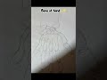 #bones #trending #anatomy #diagram # tren #trendingshorts #bone of hand #octology #viralshorts ✨☠️