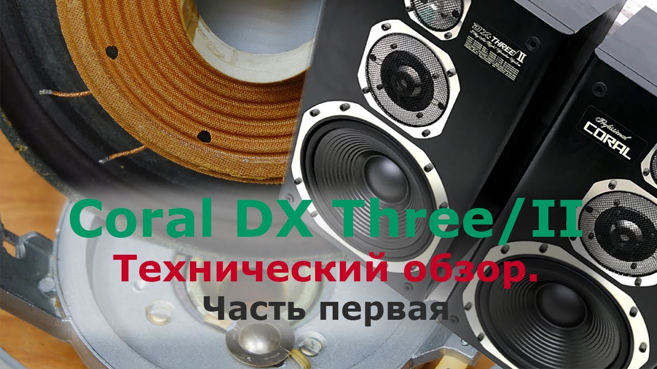 Что внутри Coral DX Three/II. DX-3. Технический обзор винтажной
