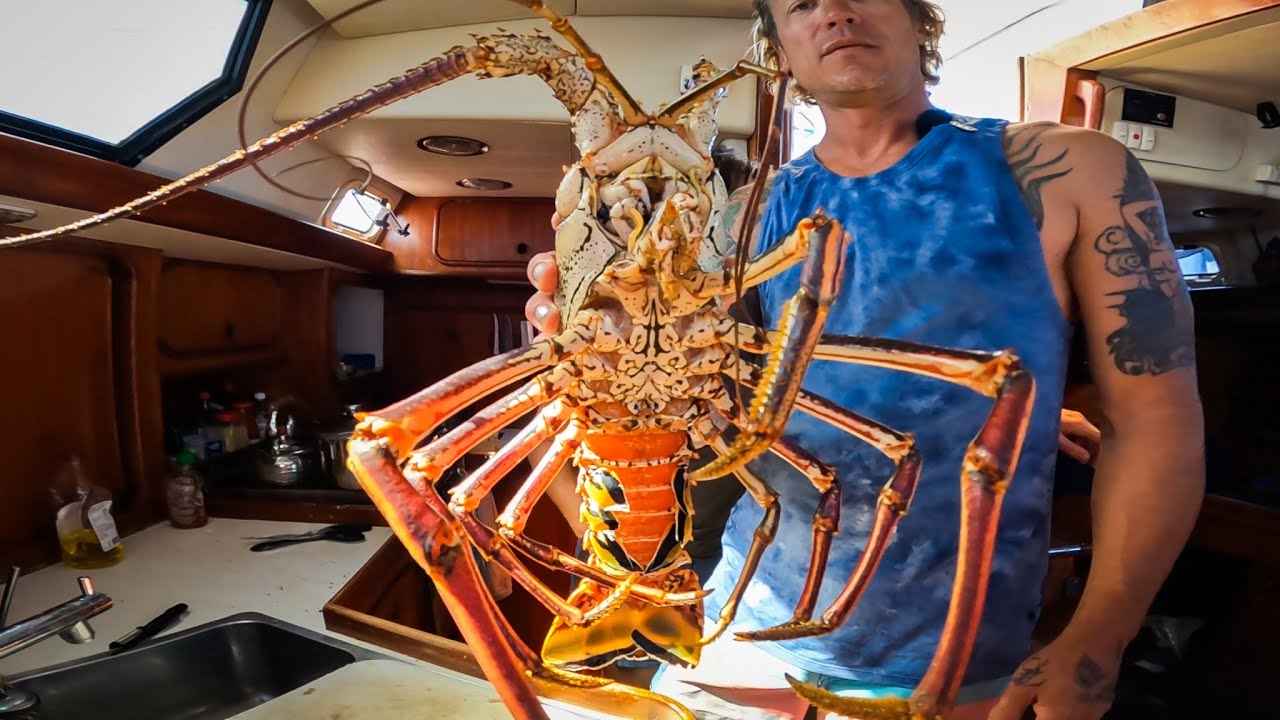 Catch and Cook HUGE Lobster on an Uninhabited Island…
