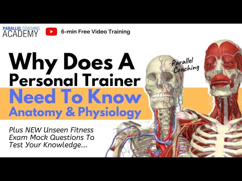 Why Does a Personal Trainer Need To Know Anatomy and Physiology?