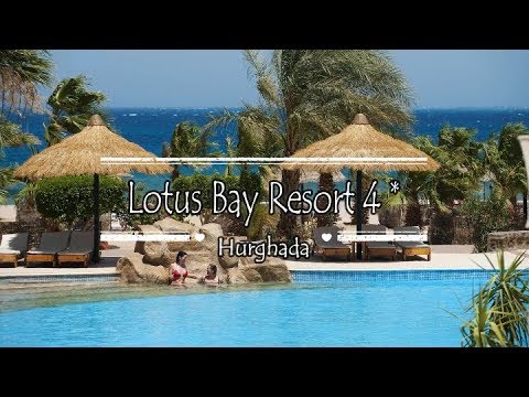 Lotus bay 4 египет