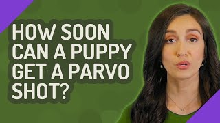 How soon can a puppy get a parvo shot?