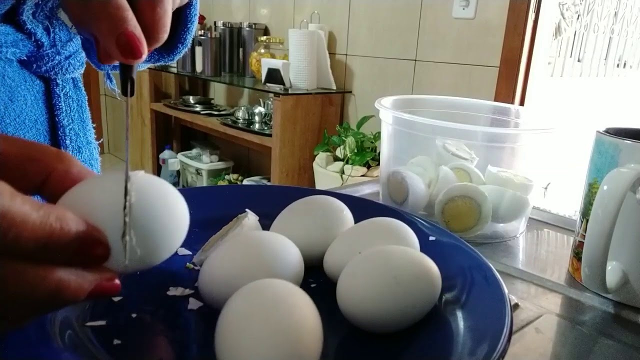 Uma maneira simples de guardar ovos cozidos na geladeira 🤔 YouTube