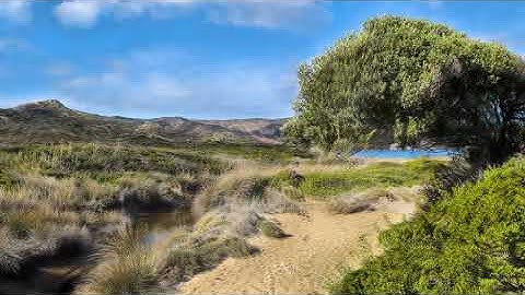 That moment when Psilo hits you faster than expected