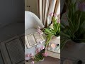 من قرأ سورة الكهف في يوم الجمعة أضاء له من النور ما بين الجم عت ين استوريات قرآن سورة الكهف من قرأ سورة الكهف في يوم الجمعة أضاء له من النور ما بين الجم عت ين استوريات قرآن سورة الكهف