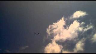 show aereo del caribe domingo 27 de marzo 2011 parte 4