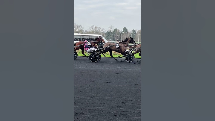 #Course, Amérique Races, Hippodrome Paris Vincennes,   France 2025