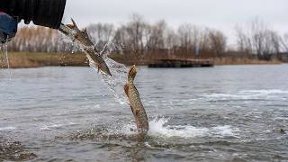 Fish Stocking 2026 - NDGF - 07-16-2026