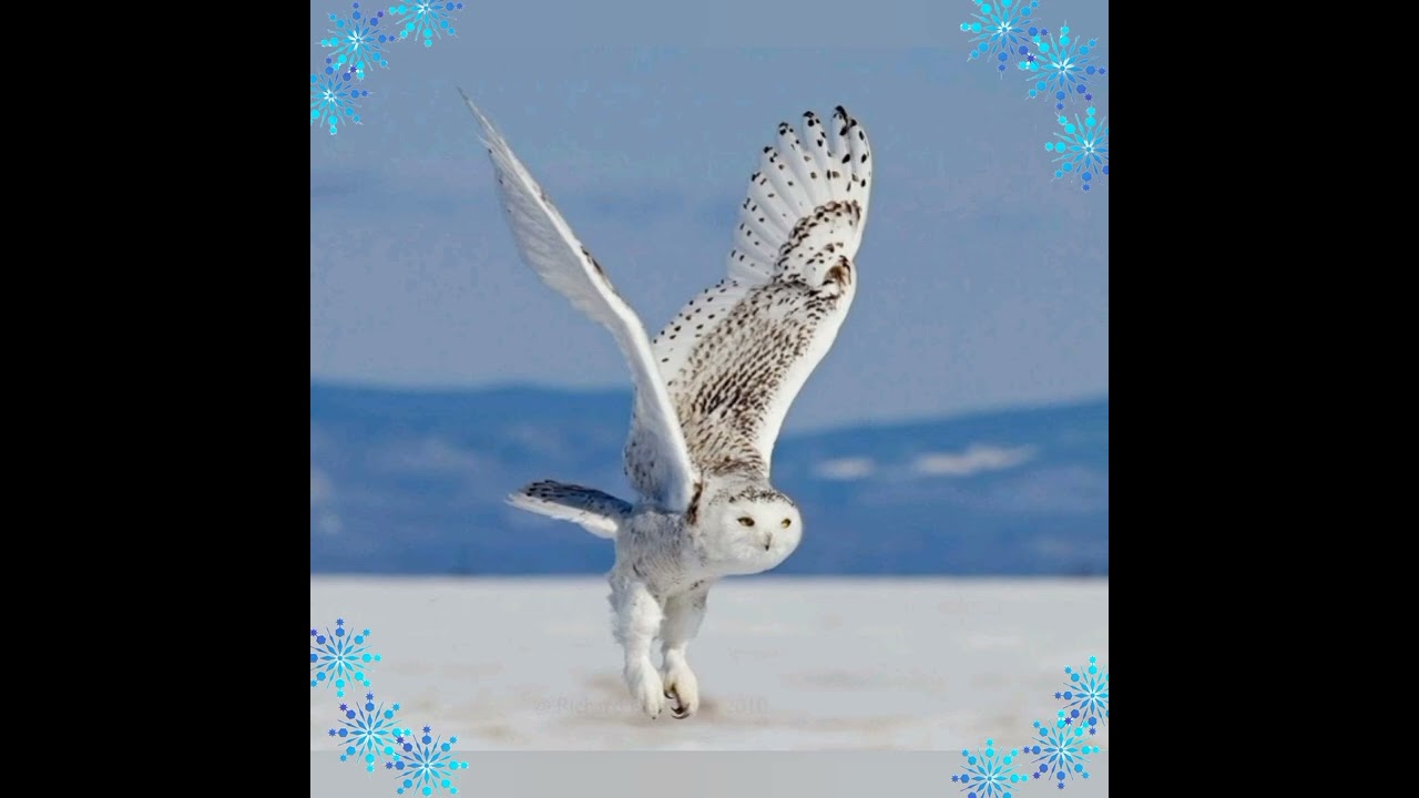 Дидактична гра 