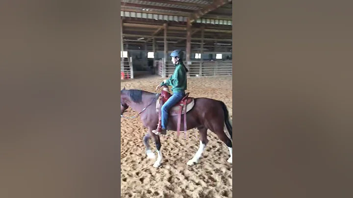 Gaited Horsemanship Clinic (October 2020, Baxter, ...