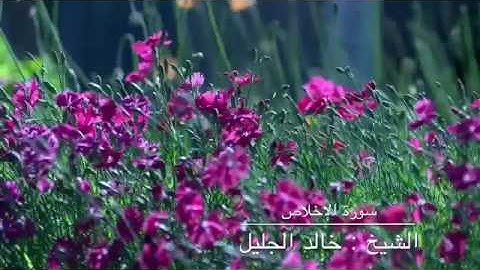 سورة الأخلاص .. الشيخ خالد جليل 🍃