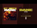 Bane In Pieces 