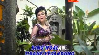 Banyuwangi - Rondo Kembang # Cover