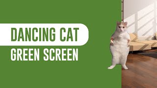 Cat Dancing to EDM - Green Screen | No Copyright | #memecat