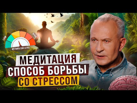 Как правильно медитировать? Всё, что нужно знать для эффективной практики