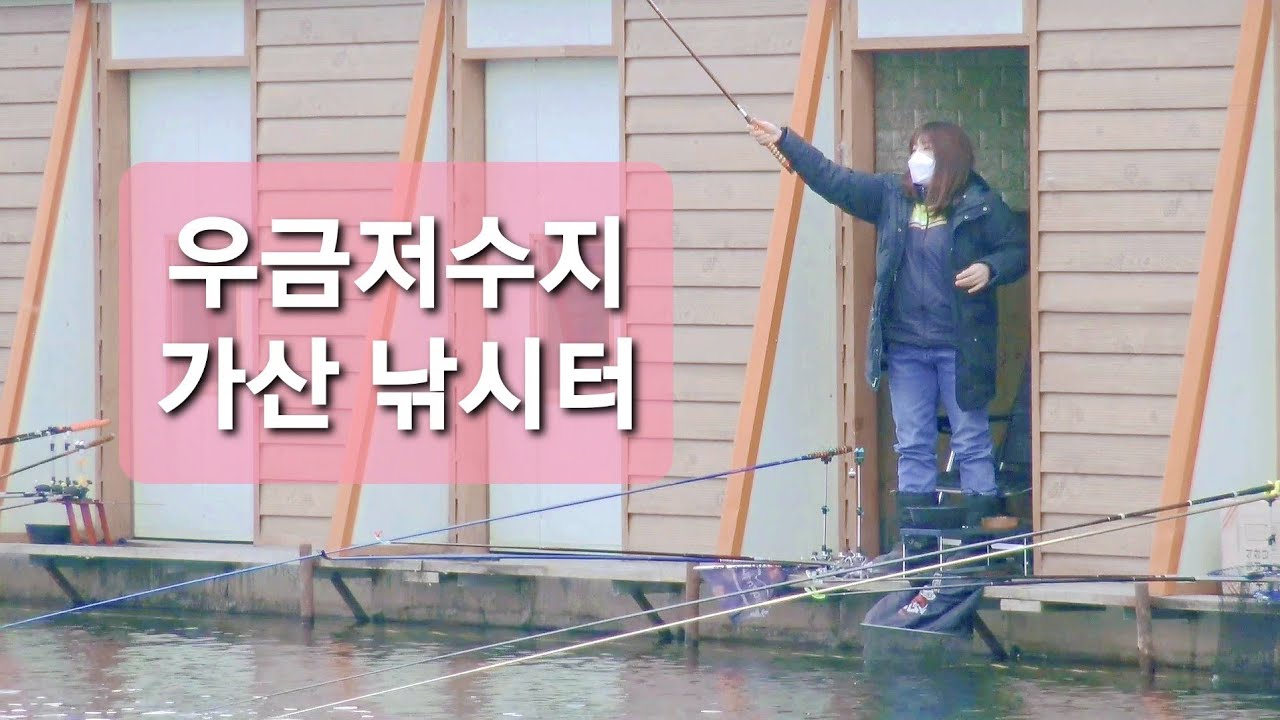 여자낚시꾼 향순이 우금저수지 가산낚시터 민물낚시 붕어낚시 여조사 낚시꾼 carp fishing