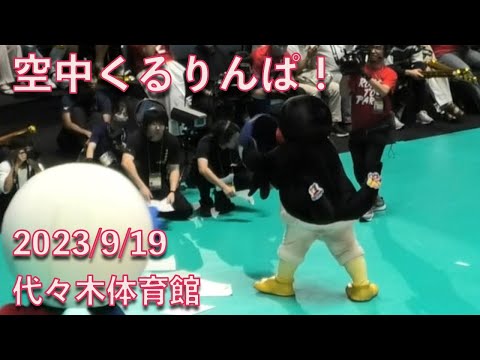 つば九郎、空中くるりんぱをバレーボール女子日本代表の試合でも披露！