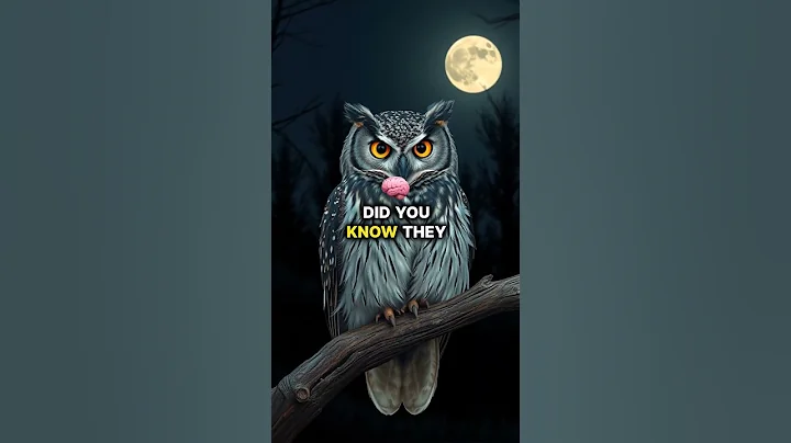 Amazing Tarsier Facts!