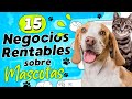 🐶 15 Negocios Rentables en el Sector de las Mascotas 😺 Negocios sobre Mascotas