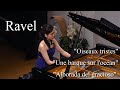 Ravel:&quot;Oiseaux tristes&quot; &quot;Une barque sur l&#39;océan&quot; &quot;Alborada del gracioso&quot; | ラヴェル：悲しき鳥たち、洋上の小舟、道化師の朝の歌