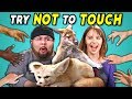 Try Not to Touch Challenge #3 | Wild Animals (React)