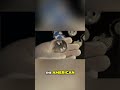 Canadian Silver Maple Leaf vs. American Silver Eagle #shorts