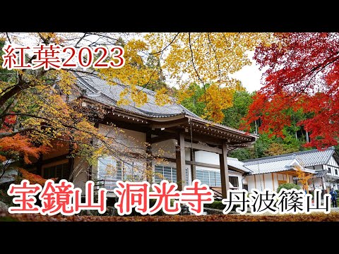 【紅葉2023】赤と黄色の絶景！ぶらり旅 第414回 「兵庫県:宝鏡山 洞光寺」 -丹波篠山,アクセス,駐車場,混雑,紅葉,絶景,見頃- Dokouji