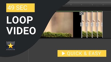 VideoPad Tutorial: How to Loop in VideoPad