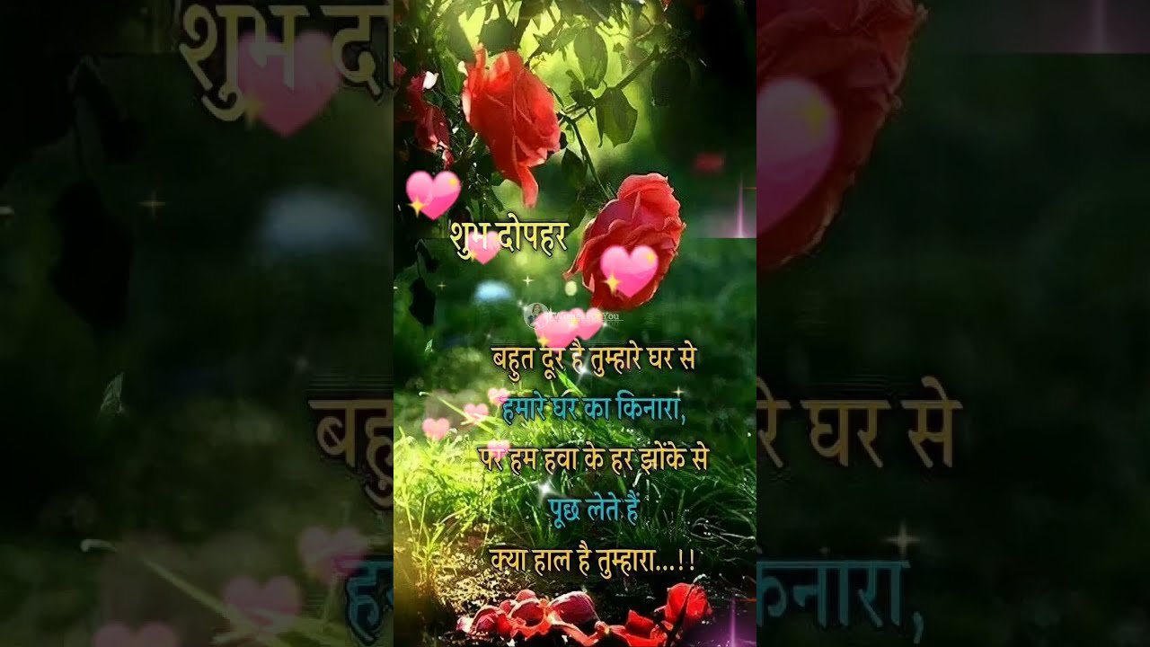 GOOD AFTERNOON Video