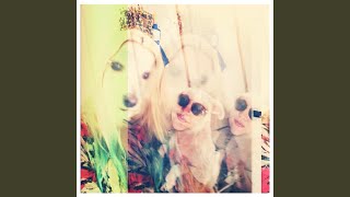 Celebrity Spank Bank Profile