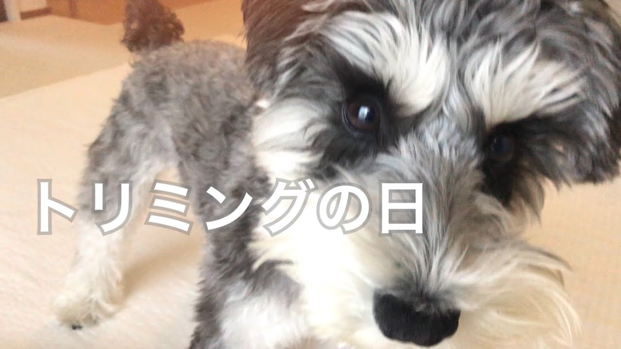 あけましておめでとうございます⛩🎍🐎