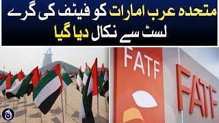 United Arab Emirates has been removed from FATF&rsquo;s gray list - Aaj News