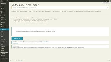 WordPress Theme - One Click Demo Import