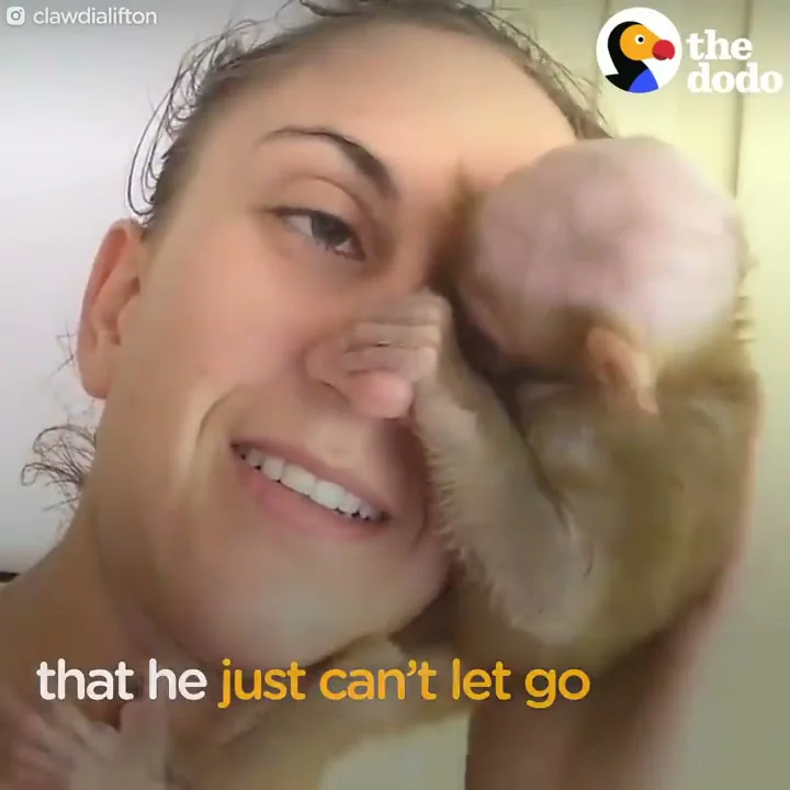 Baby Monkey Won't Let Go Of His Rescuer | The Dodo