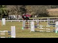 Lauren  kadiz cayuse kan do  1m sj at sydney jump club