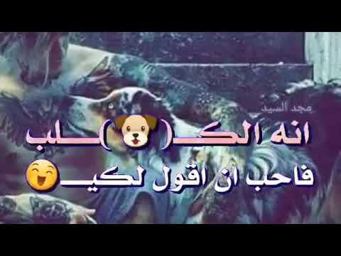 شقد خبصنا بدنيتنا حالات واتس اب