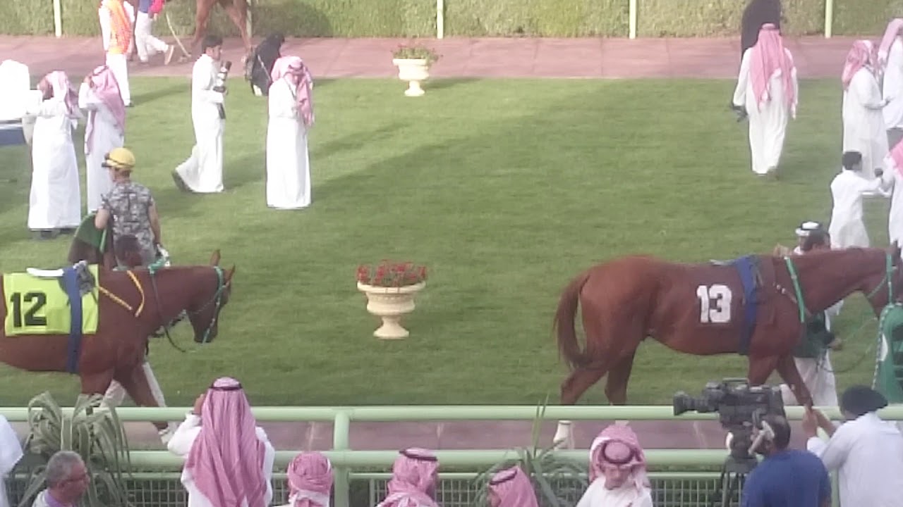Riyadh horse race track - YouTube