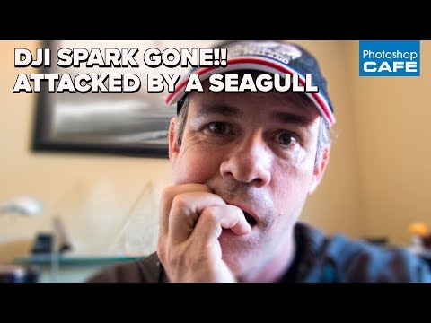 My DJI SPARK