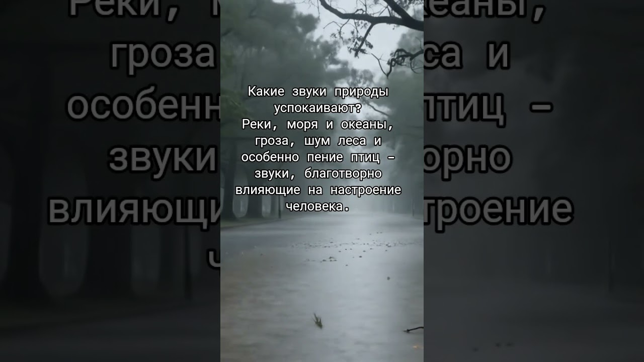 Какие звуки природы успокаивают? 