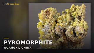 Video preview: Yellow Hexagonal Pyromorphite – Guangxi, China | Natural Mineral Specimen