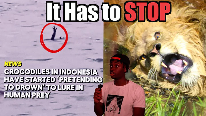 Animal Facts We Should've Left in 2024 thumbnail