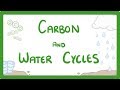 Cycles Of Life: Water And Carbon Interconnected