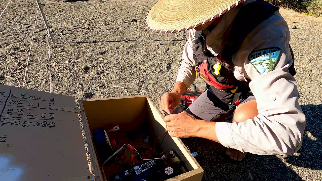 Segment 4 Bears and Electric Fences YouTube